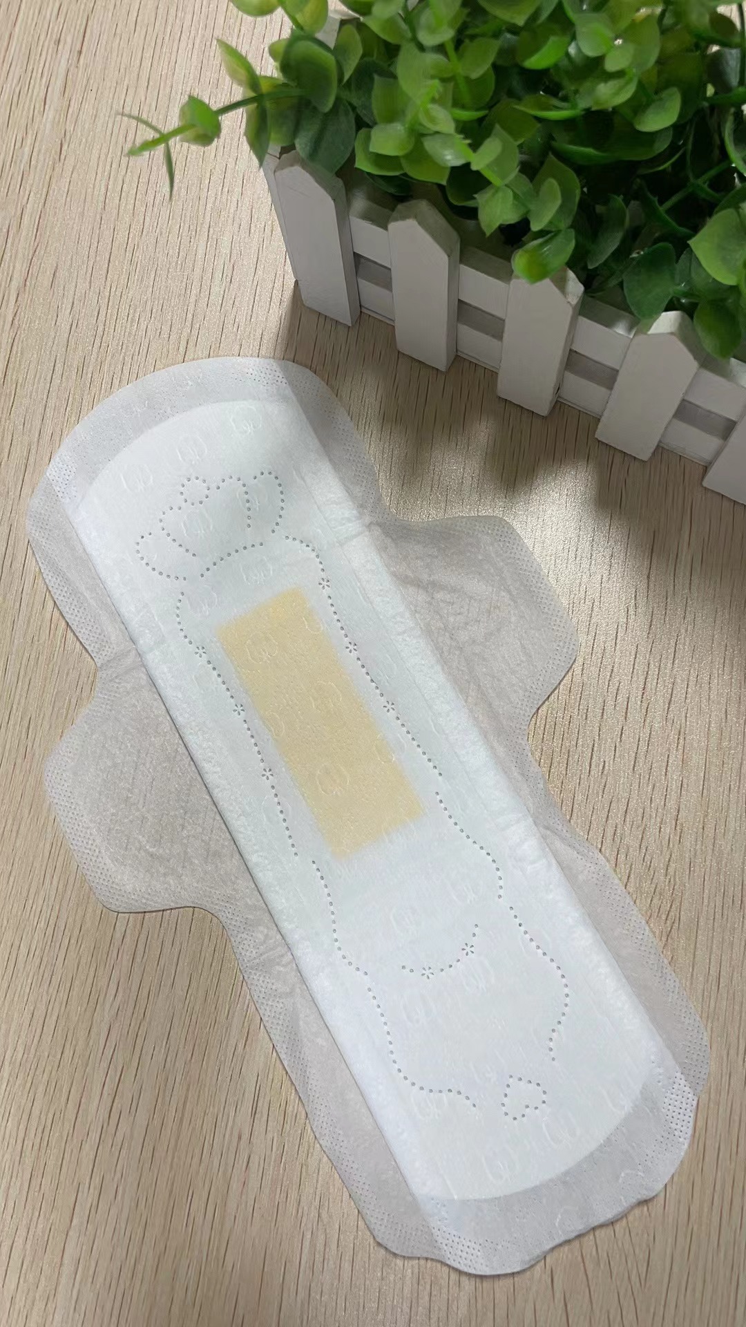 Disposable sanitary napkin from the Ecolivia-Bio Series with a bio-based absorbent core