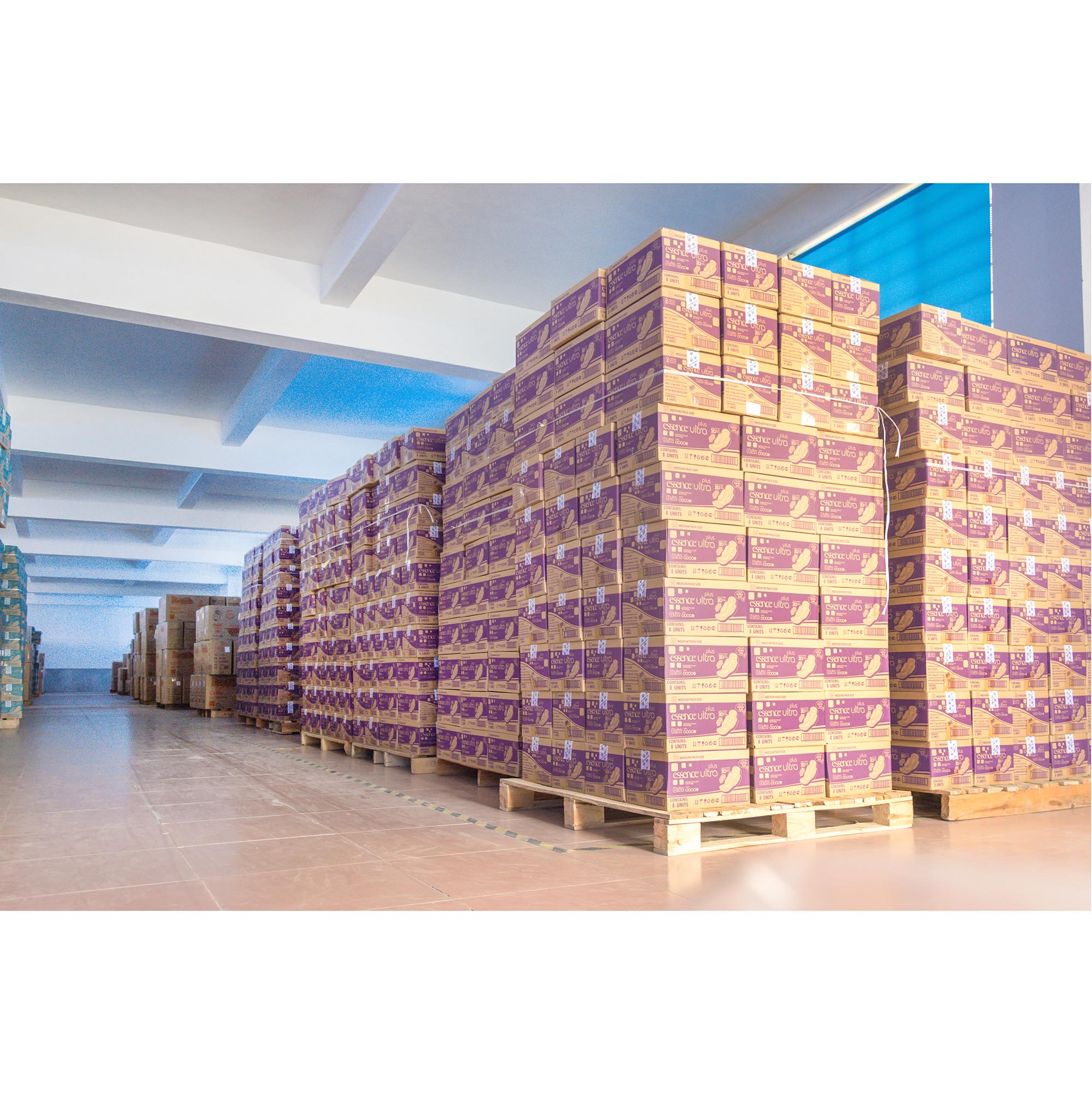 Modern Sanitary Napkin Production Workshop