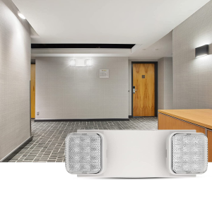 Internationally Recognized Brand