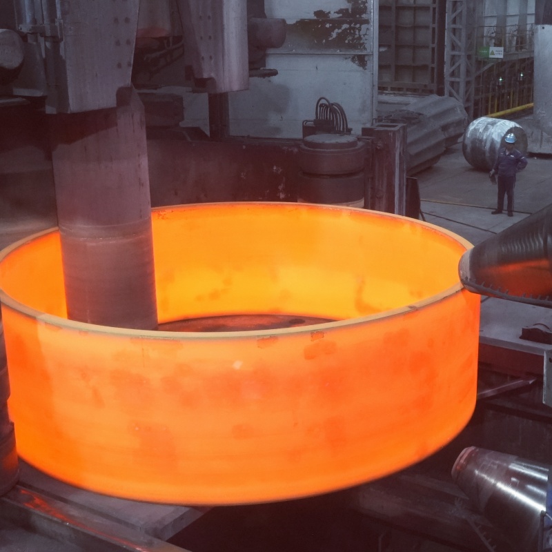 alloy Steel Forgings<p class=