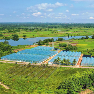 Irrigation Authority