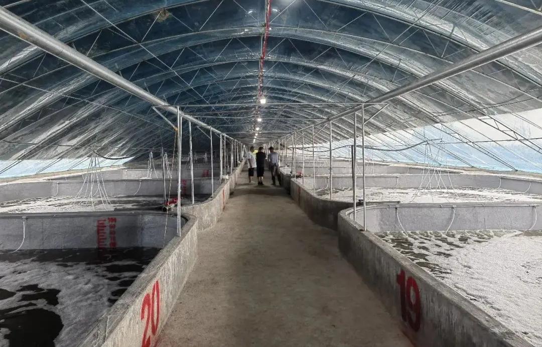 Dissolved Oxygen Sensor in Aquaculture