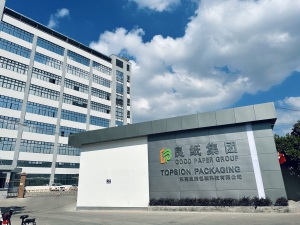 Topsion Packaging factory