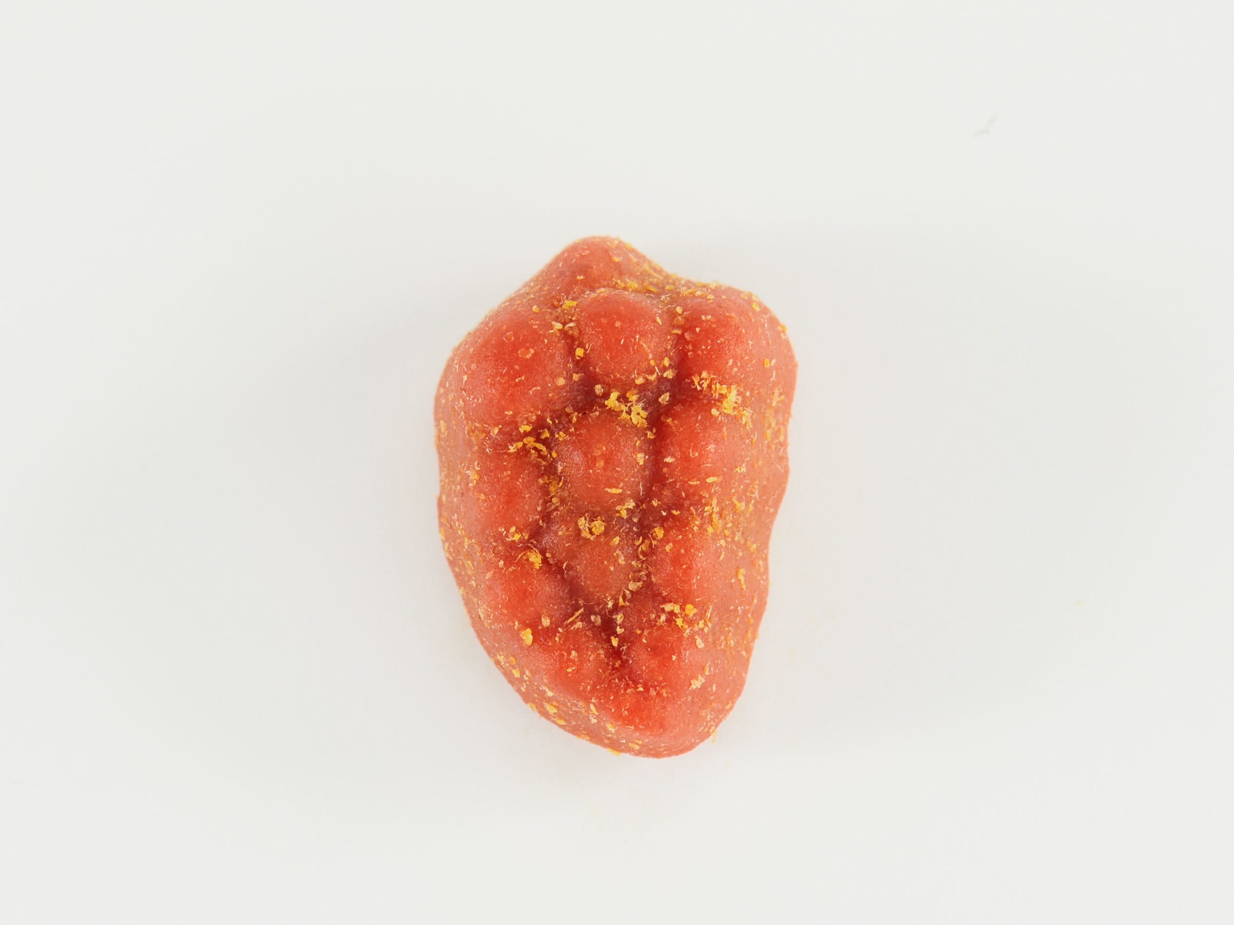 FruitBitz prune and fiber gummy bottle