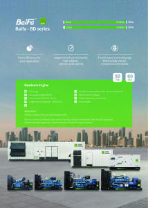 Diesel Generator Set