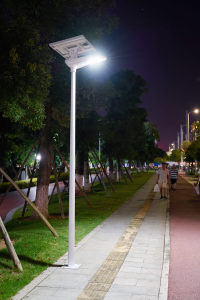 All-in-Two Solar Street Light