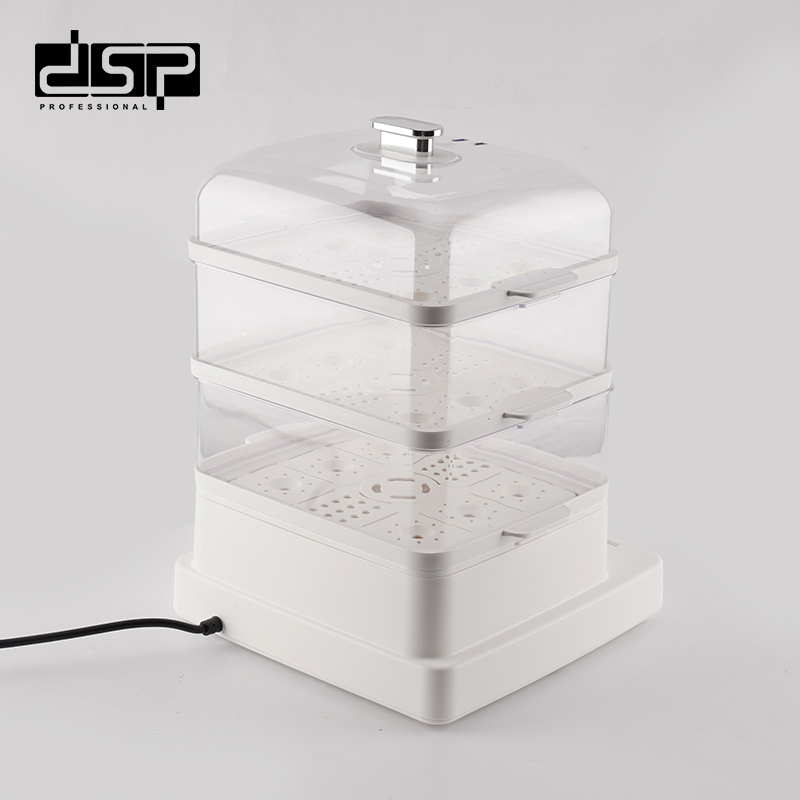 Electric Steamer