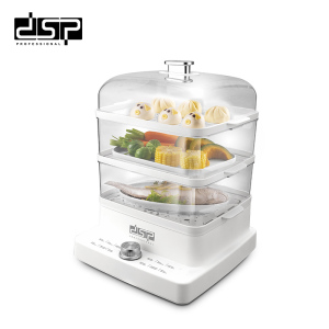 Electric Steamer