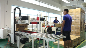 Shenzhen Auto-packing Line