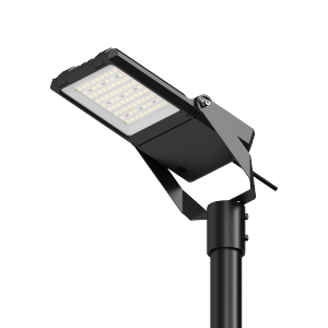 LED Flood Light