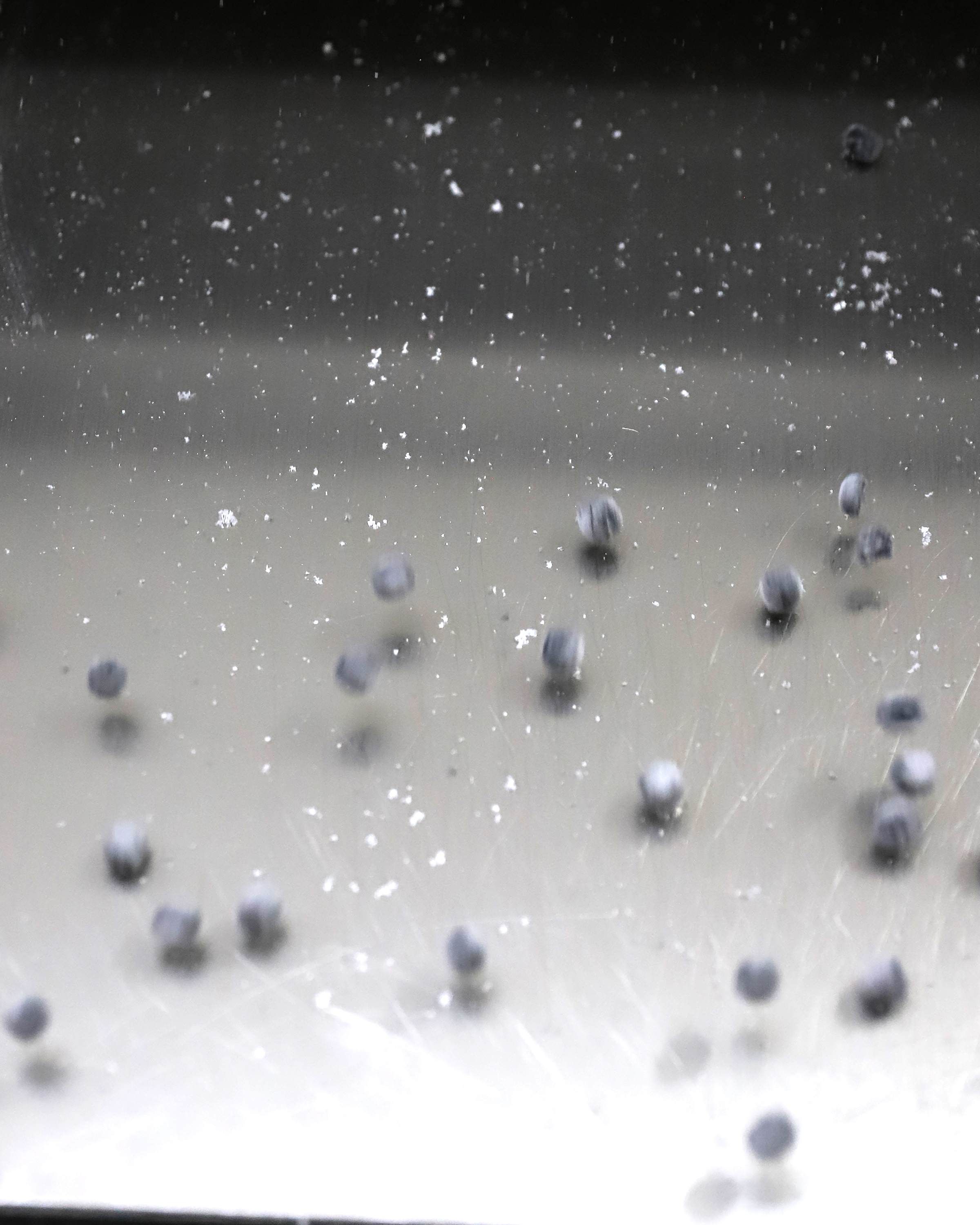 Tapioca pearl preparation