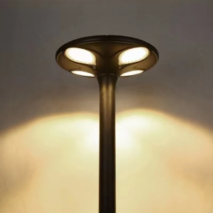 Solar LED Garden Light