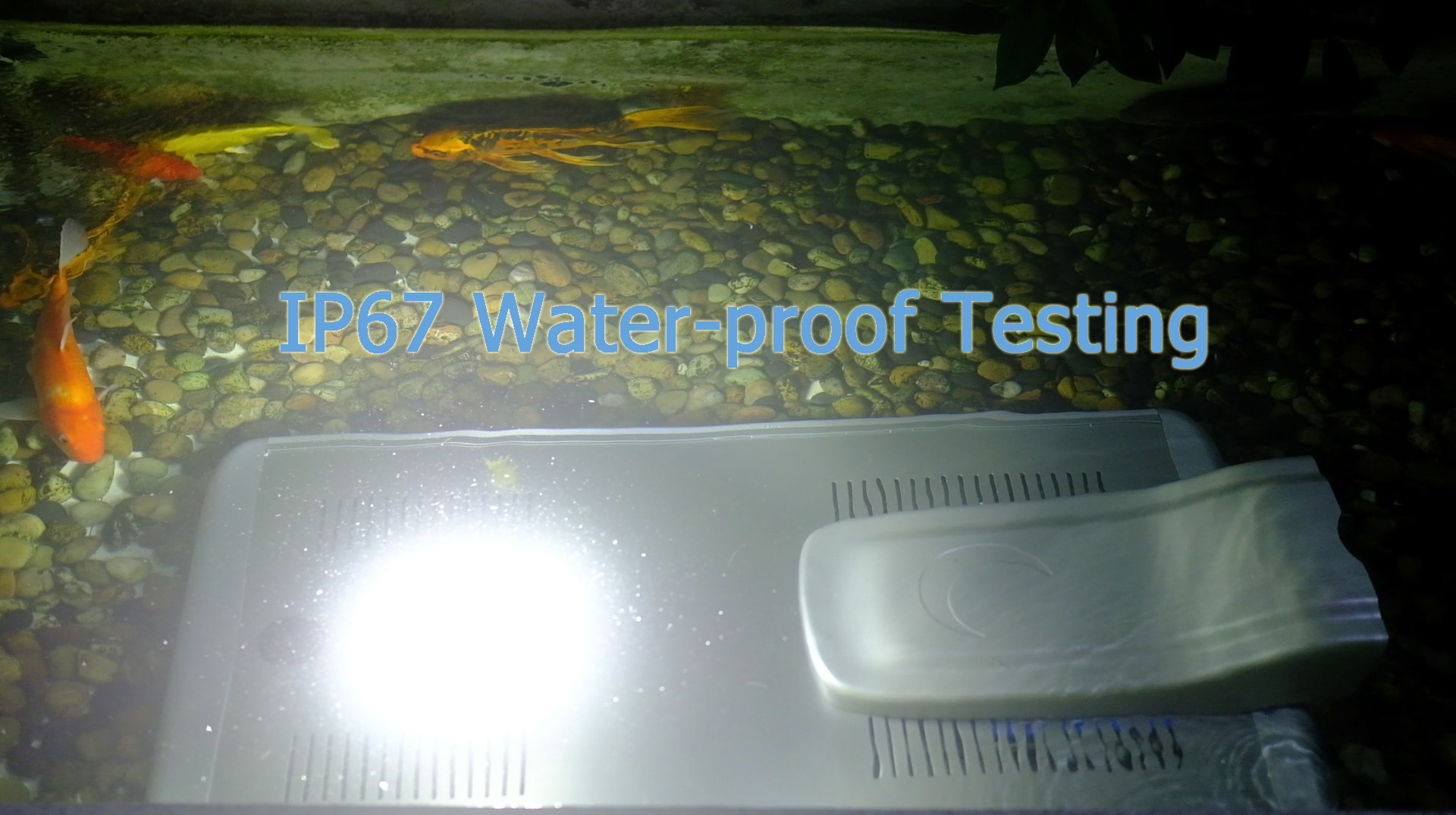 Waterproofing test: Cmoonlight Palm Tree solar street lights can be directly immersed in pond water.
