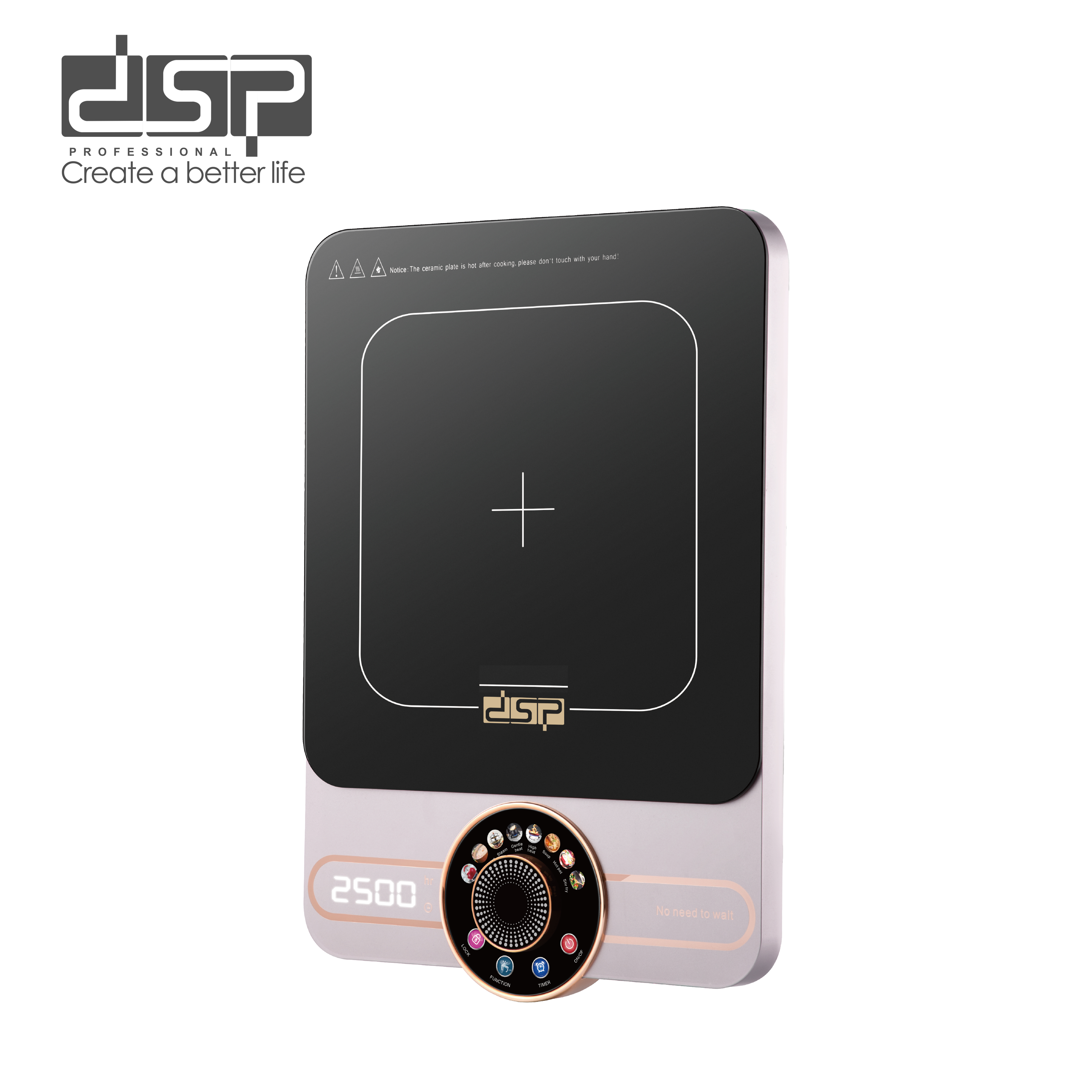 Induction Cooker