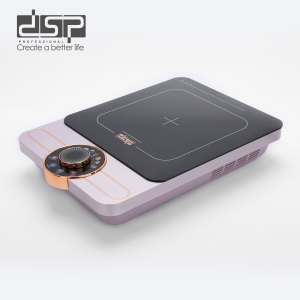 Induction Cooker