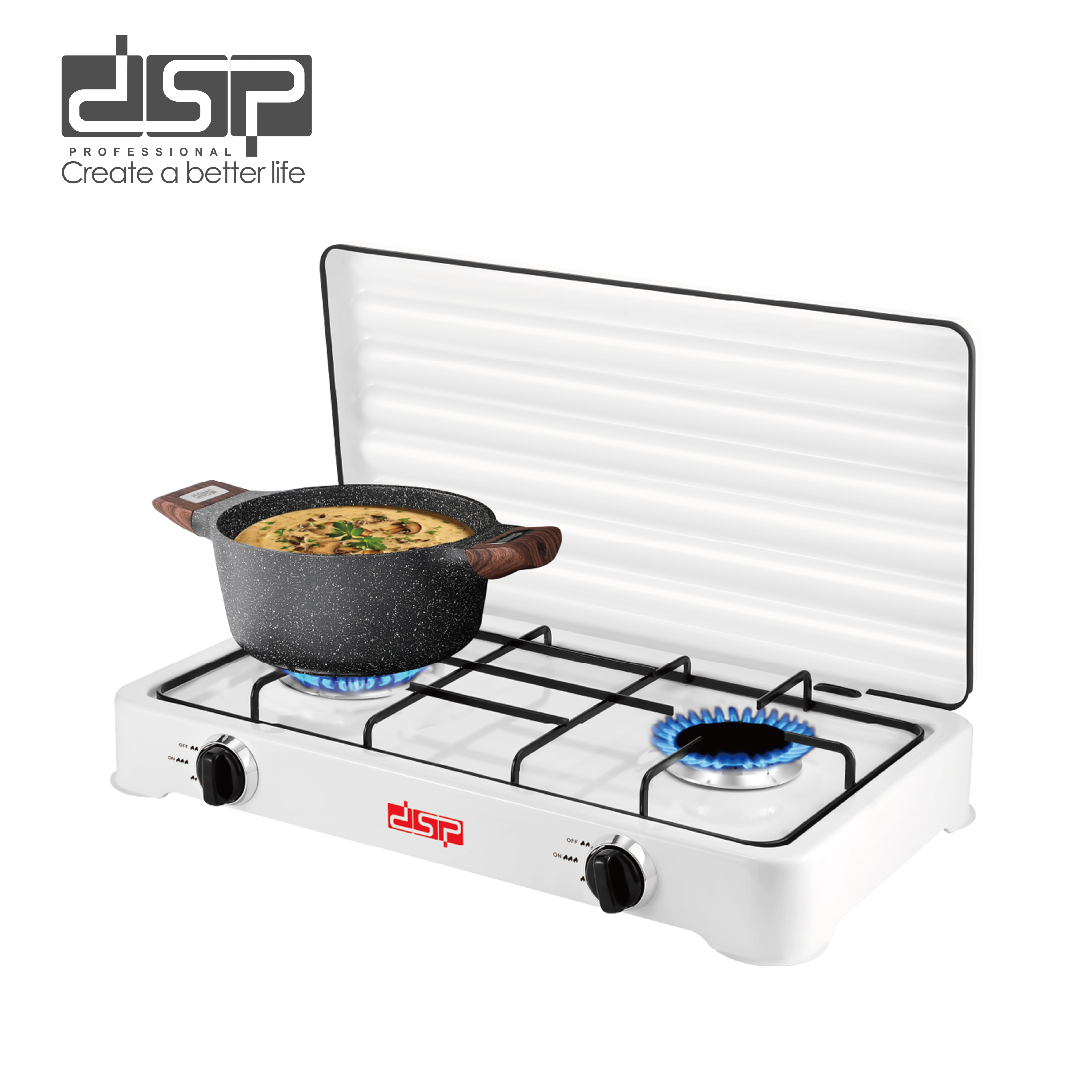 Gas stove