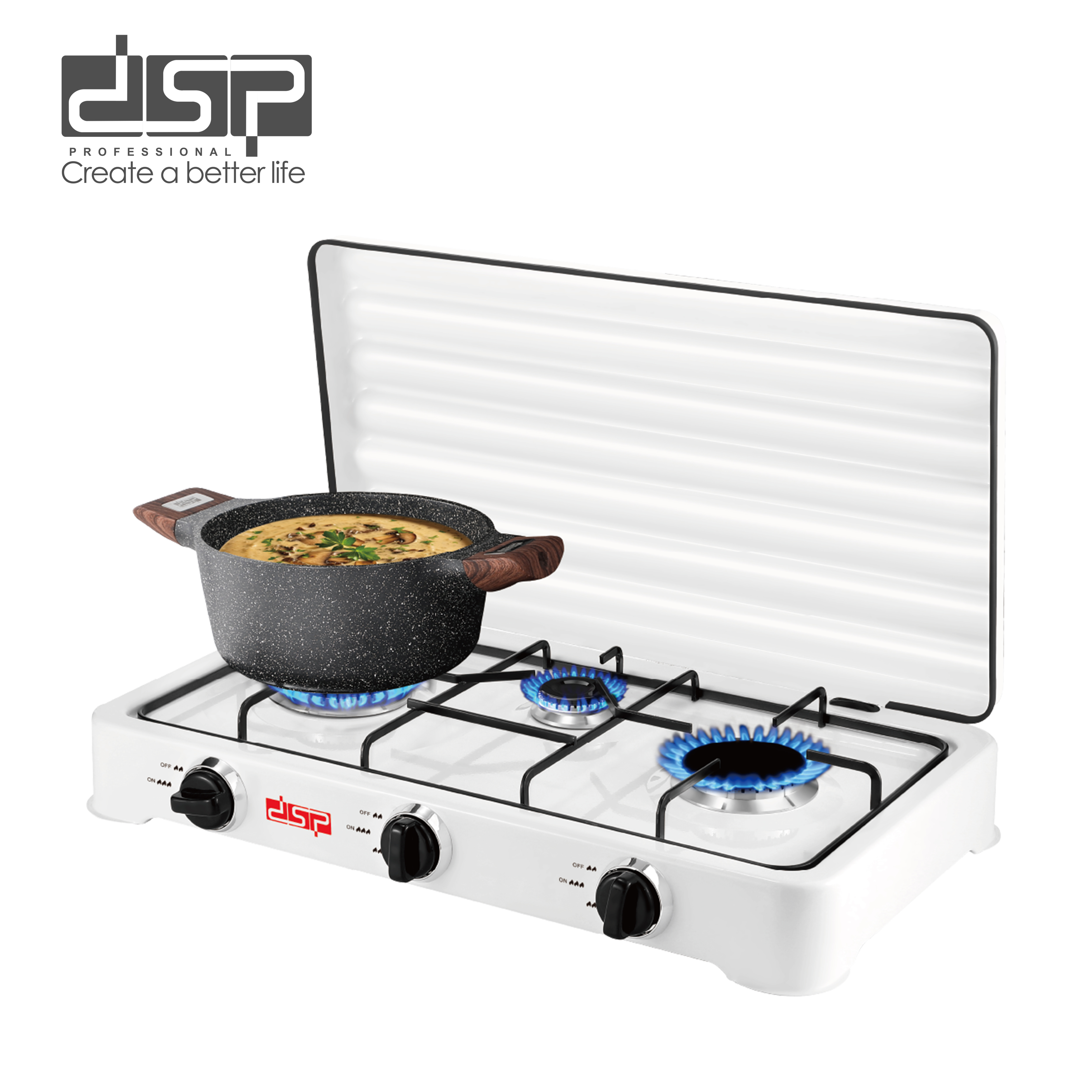 Gas stove
