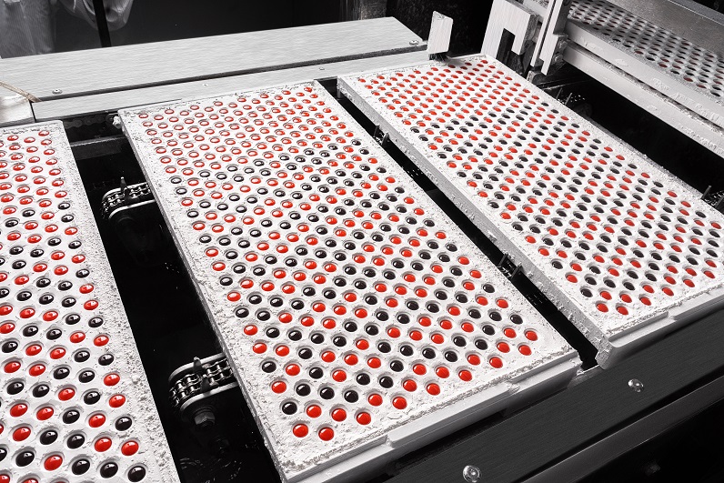 GMP Dietary Supplement Manufacturing Workshop