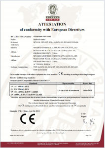 ATTESTATION 
of conformity with European Directives