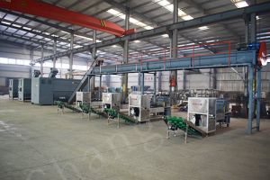Edible Mushroom Production Line