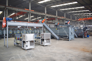 Edible Mushroom Machinery