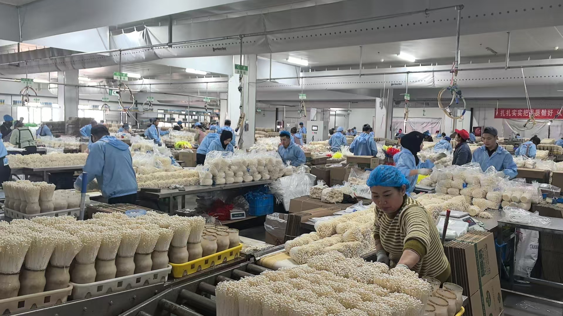 Production Line in Operation