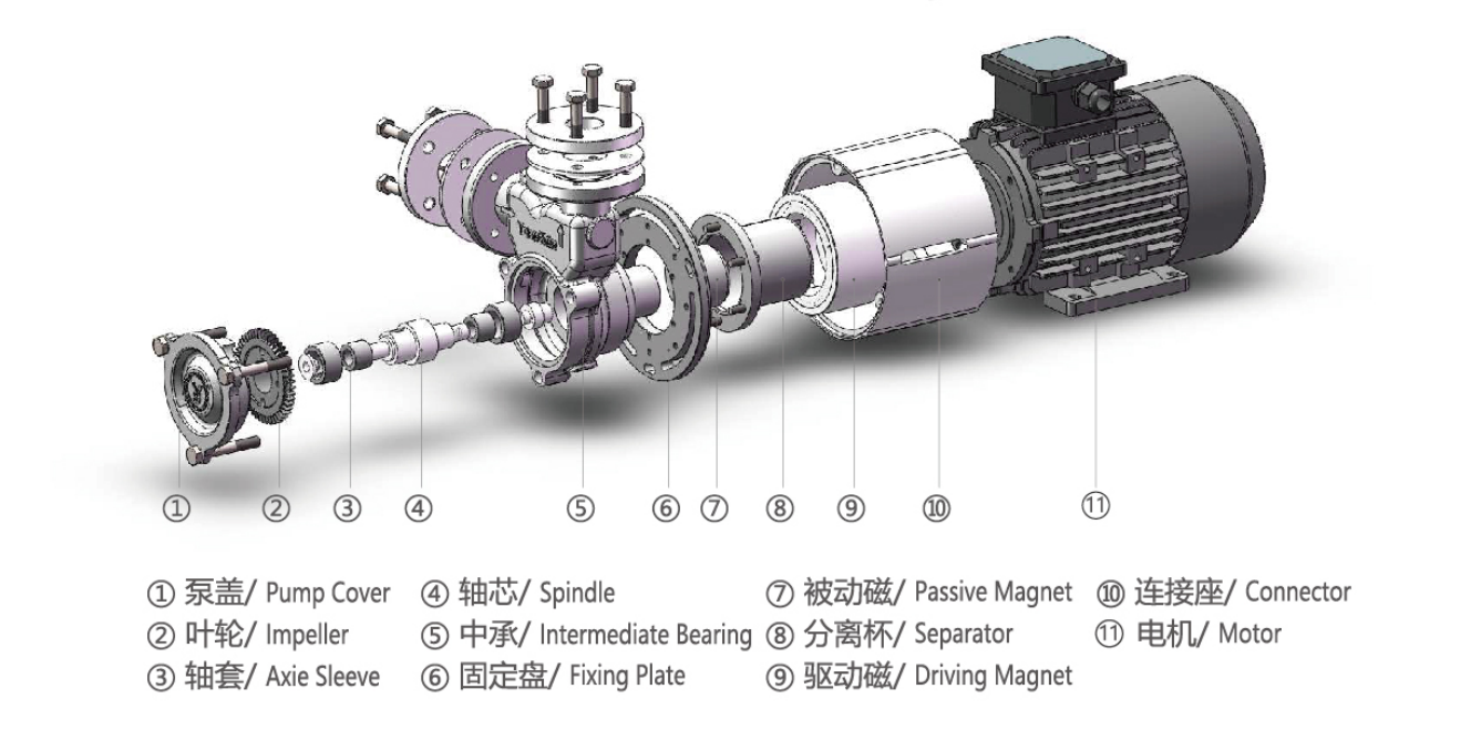 Exploded view of a magnetic pump assembly