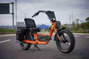 Electric Three-Wheeled Trike