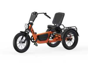 High-Performance Electric Three-Wheeled Trike