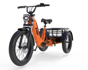 Electric Swing Three-Wheeled Trike