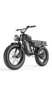 Entry-Level Electric Fat-Tire Bike