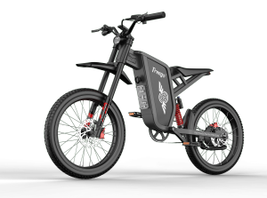 Medium Size All-Terrain Electric Dirt Bike