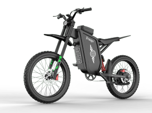 Ultra-Long Range Pedaled All-Terrain Electric Dirt Bike