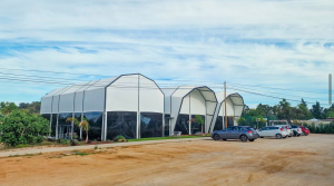 Padel courts Tent/Padel Tennis Tent /Padel Sports Hall