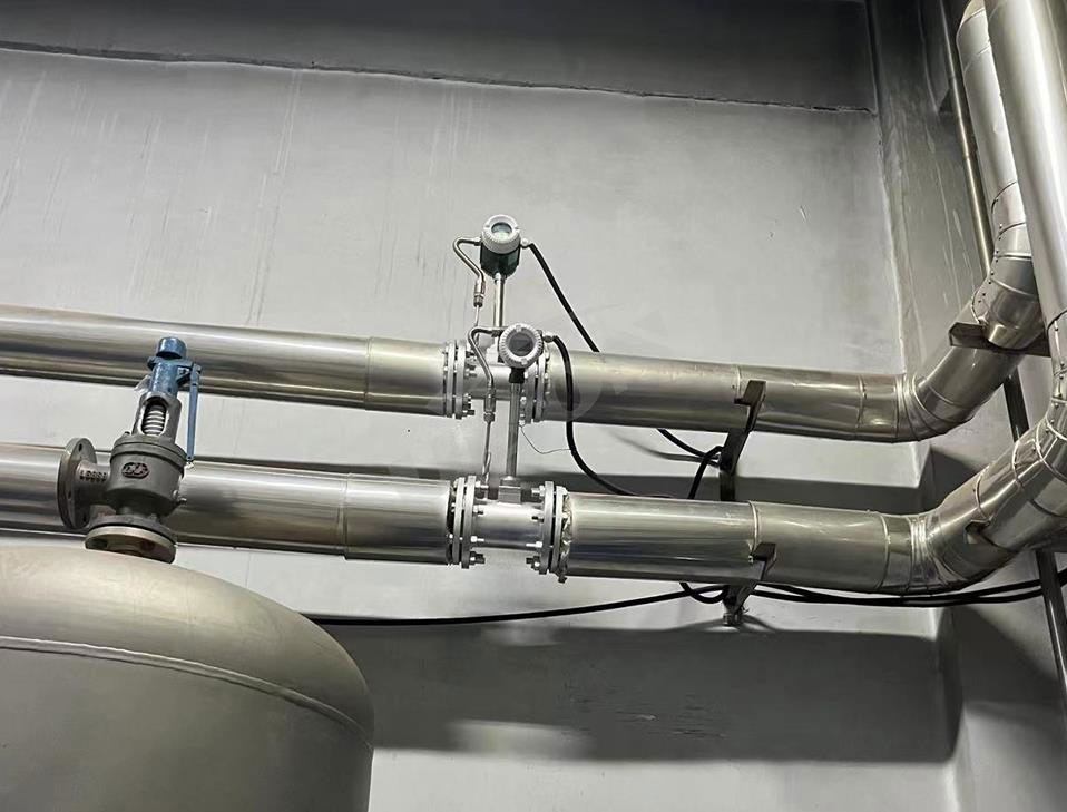 Steam mass flow meter installed in a power generation facility