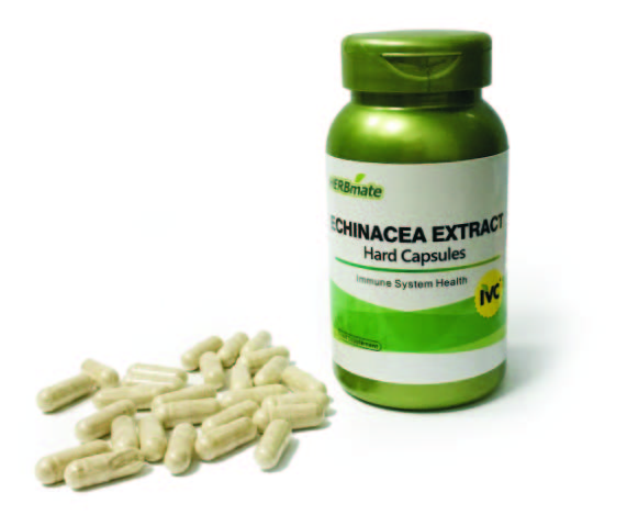 Echinacea Extract Hard Capsules Echinacea Extract Hard Capsules