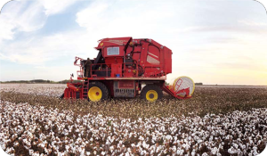Cotton Picker OEM