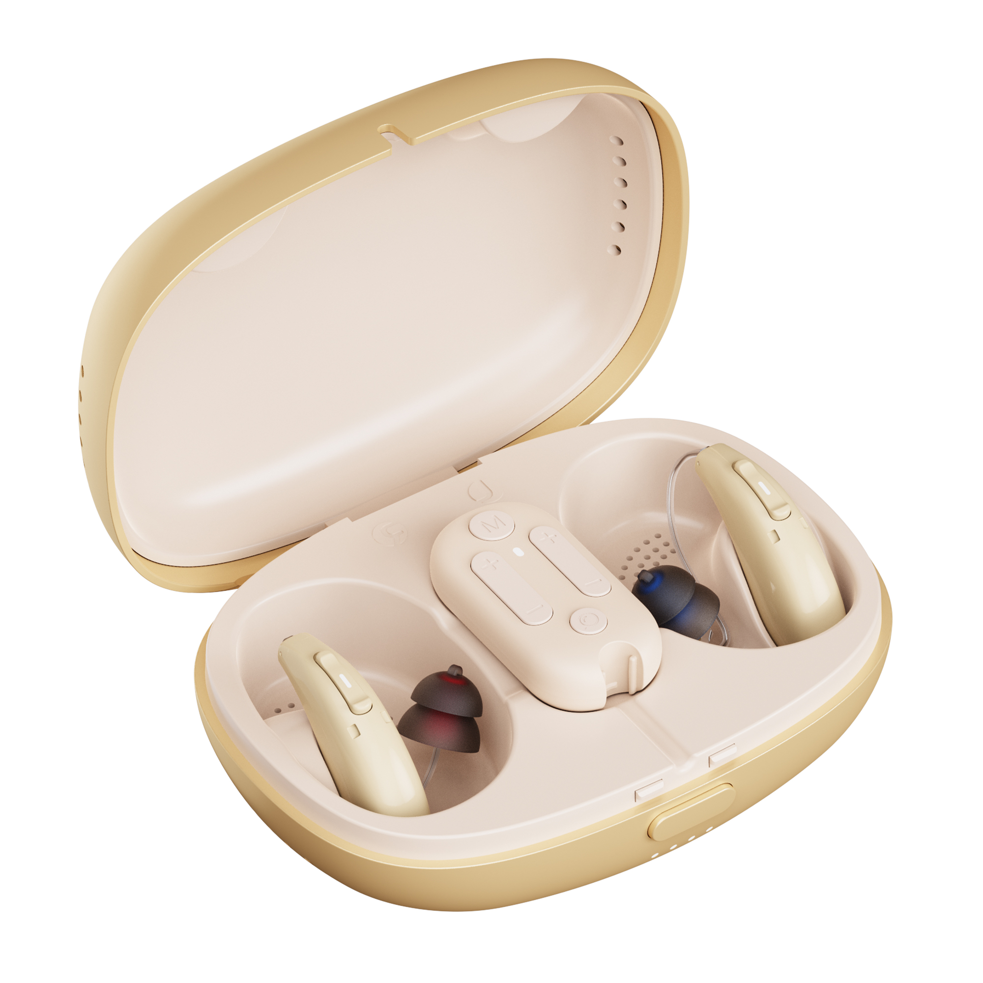 Flysound H6 with electronic drying case