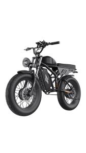 Dual-Motor Electric Fat-Tire Bike
