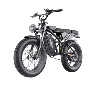 Flagship Electric Fat-Tire Bike for Adults