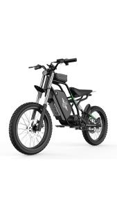 Entry-Level Mid-Drive All-Terrain Electric Dirt Bike