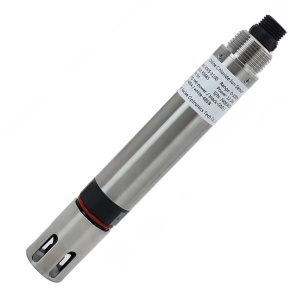 Online Chloride Ion Sensor