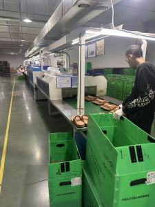 EVA packaging production line
