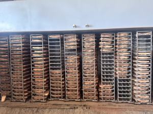 Cork midsole workshop (oven drying)