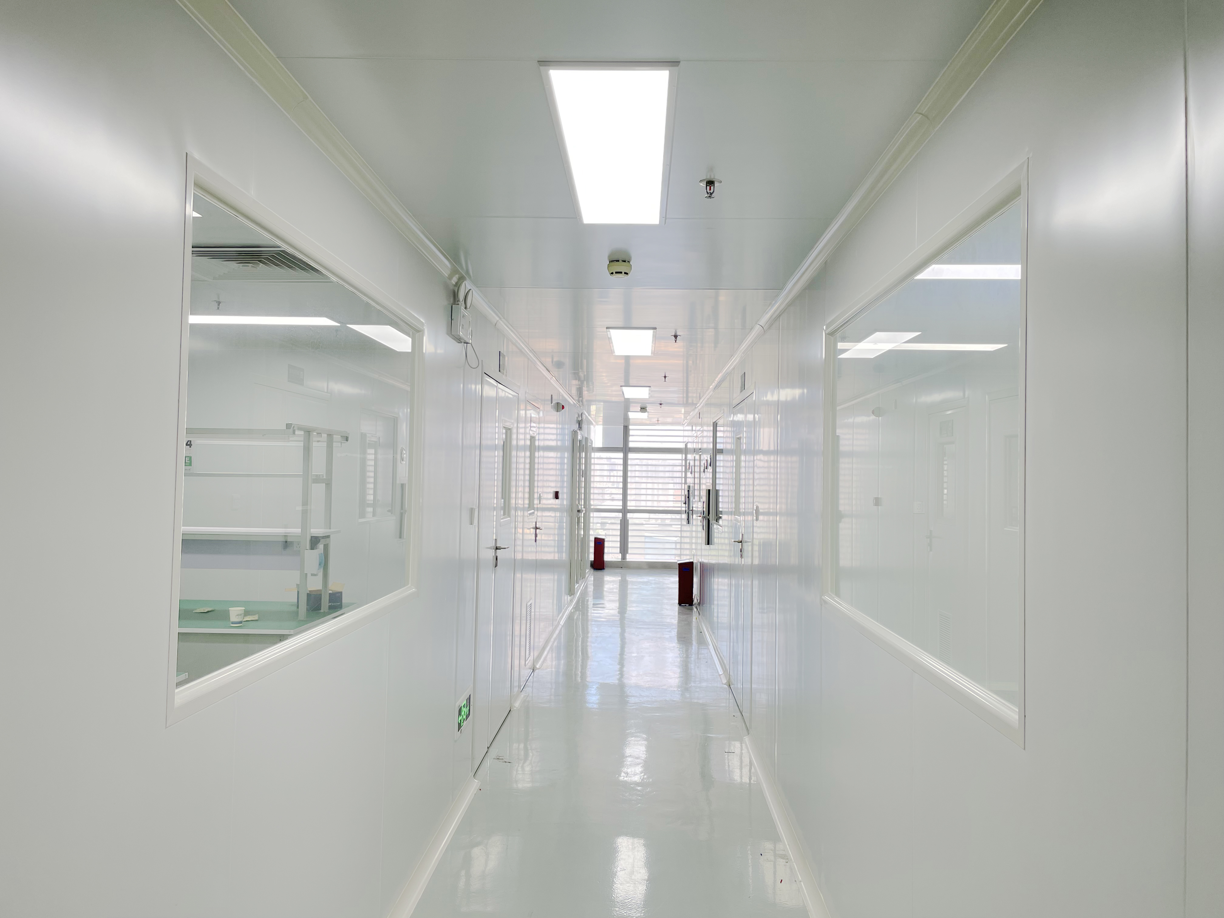 Veterinary Endoscope Manufacturing Facility