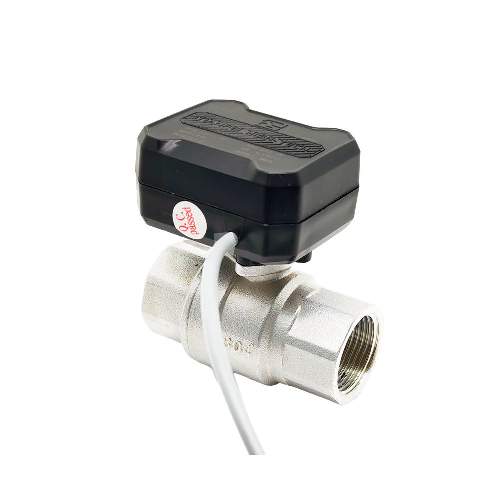 CWX-20P motorized ball valve side view showing actuator