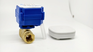wireless water leak detection