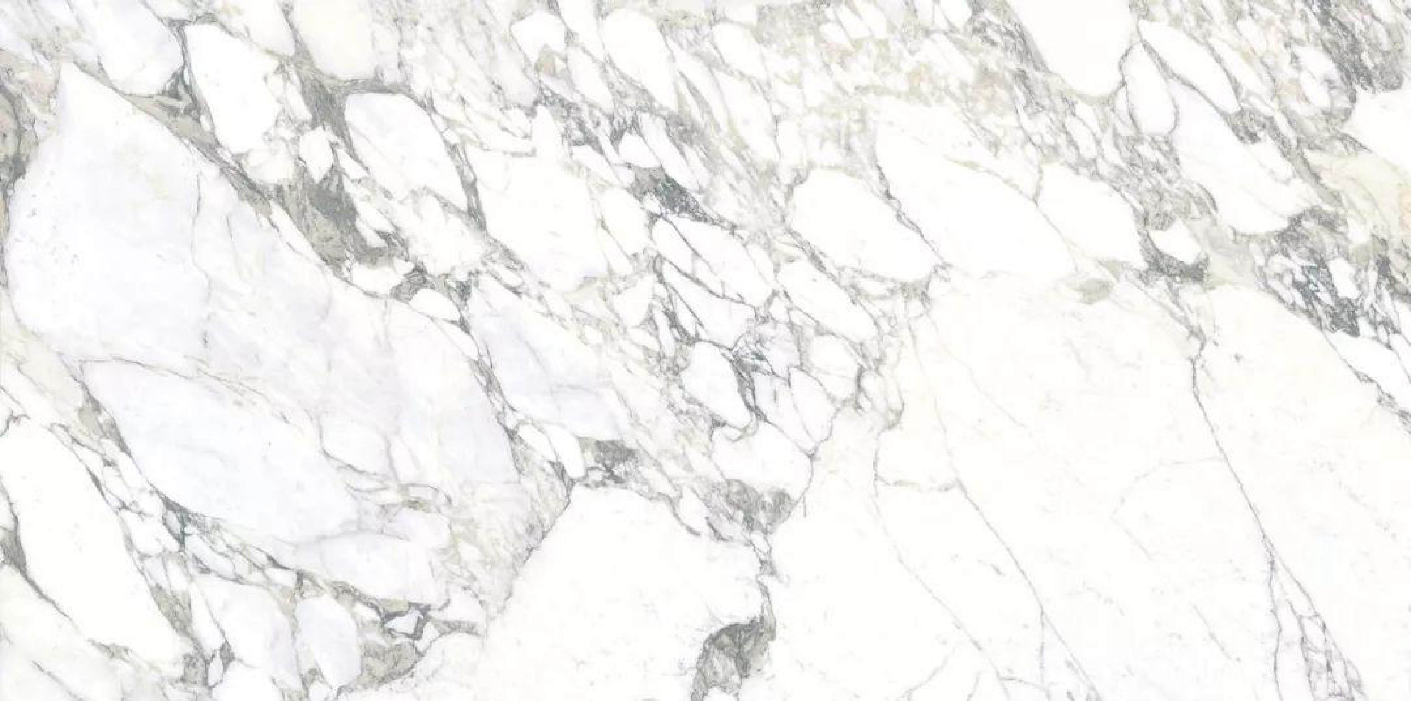 Arabescato Corchia marble slab with bold grey veins, polished finish