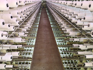 Double Facer Belt Production Factory