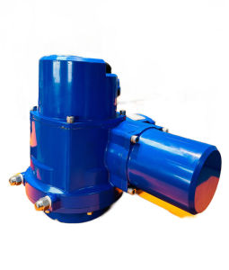 Electric Actuator